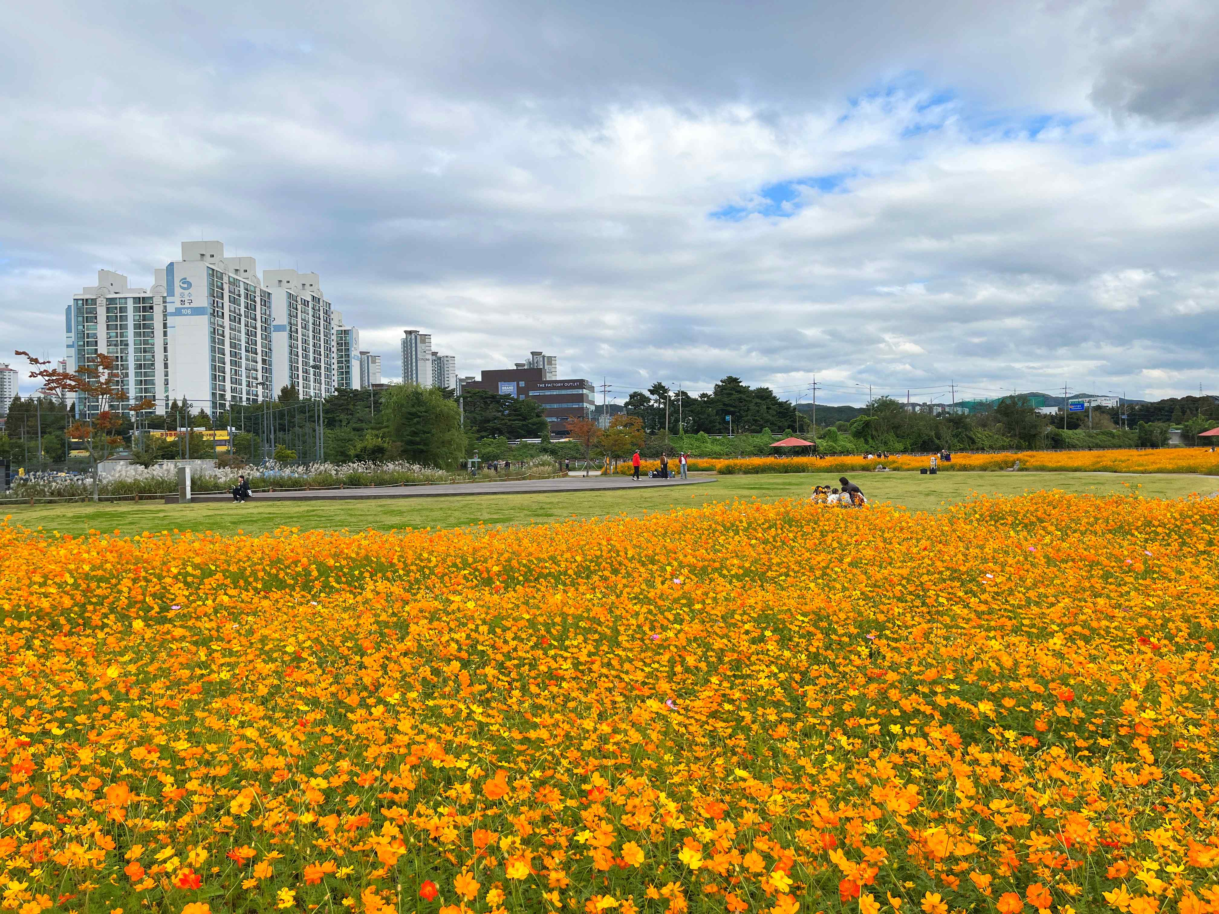 용인 기흥 호수공원