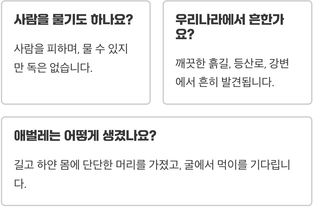 길앞잡이&amp;#44; 왜 길을 안내하는 것처럼 보일까? (이름의 유래)