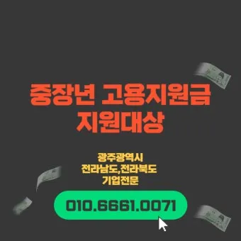 중장년 고용지원금 핵심사항 정리로 안내_12