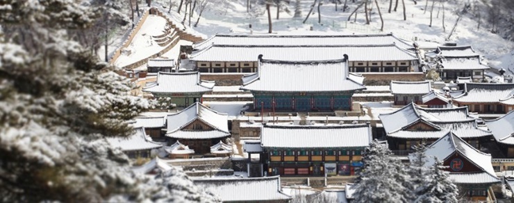 해인사-팔만대장경