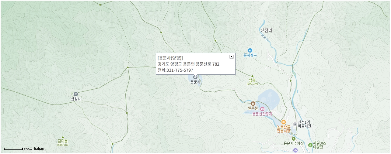 용문사 템플스테이 가격, 후기 및 예약하기