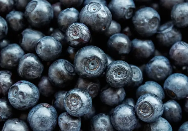 기억력 좋아지는 음식-블루베리
