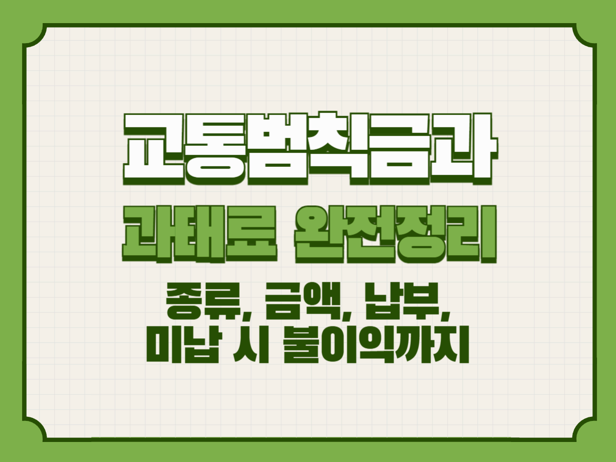 교통범칙금과 과태료 완전정리 &ndash; 종류, 금액, 납부, 미납 시 불이익까지