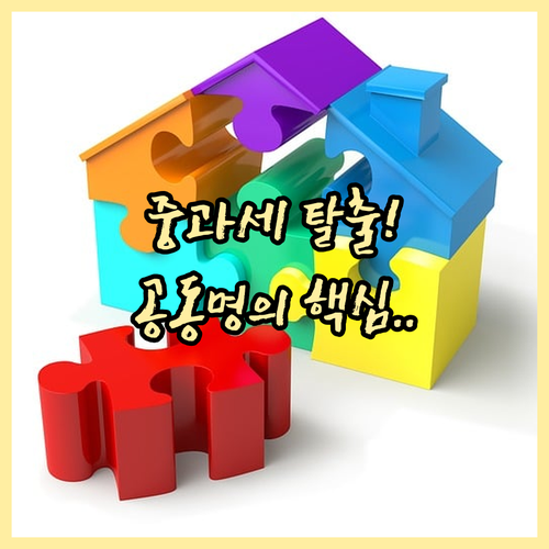 취득세 중과 양도세 이월과세 공동명의..