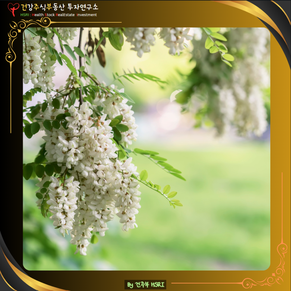 빌립보서 4장 묵상 : 믿음으로 나아갈 때 풍성한 은혜를 주십니다
(글 그림 : 건주부, 그림 출처 : Canva)