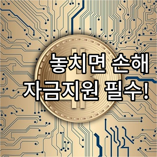 동대문구 2025년 전세피해 주거안정..