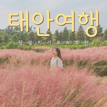 태안 여행코스 추천 꽃지해변 포함한 드라이브 코스 안내_11