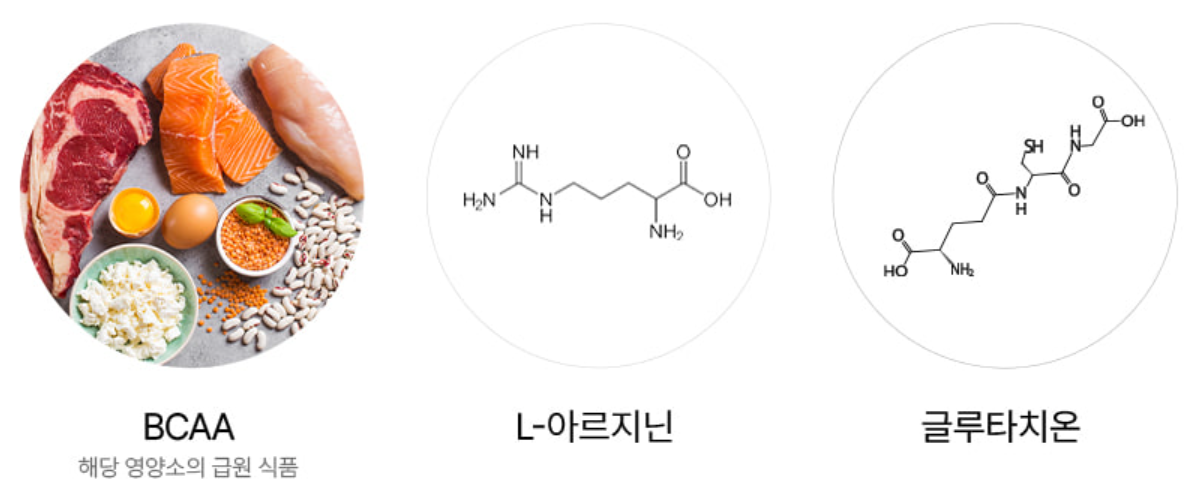 파란통 다이어트(맨올로지 컷) 원료