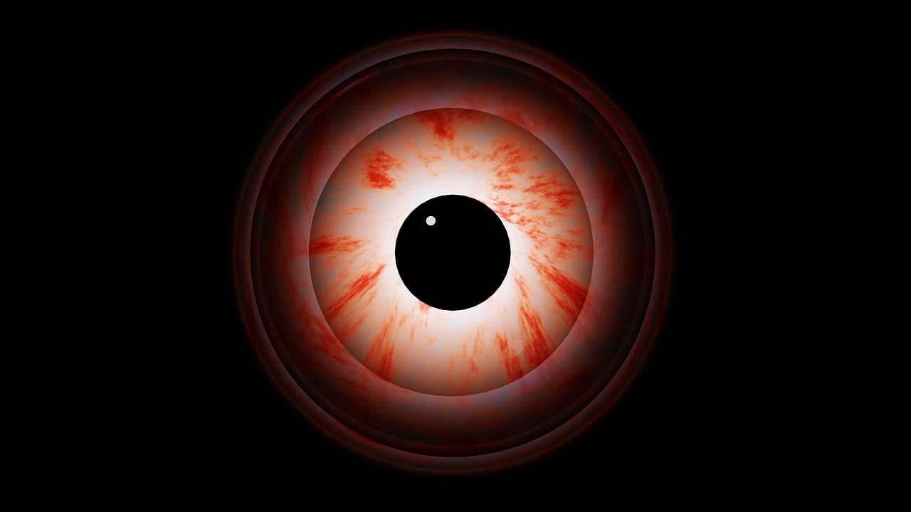 포도막염 발생에 미치는 주요 원인