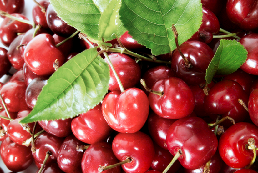 타트체리 부작용 효능