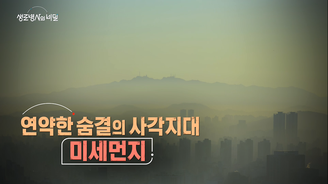 생로병사의 비밀 미세먼지