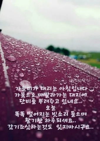 10월 인사말 예시 모음 영어_14