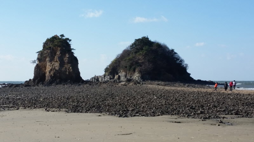 충남 태안 안면도