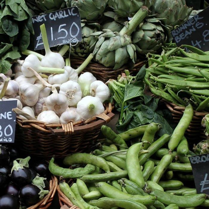 그래픽 카드 선택