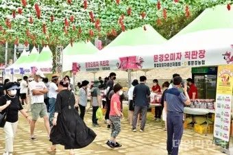 문경 오미자축제 2025 다섯 가지 맛으로 만나는 가을 정리_10