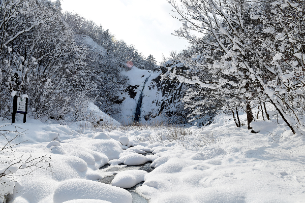 충청권 겨울에 걷기 좋은 숲길 & 트레킹 추천 BEST 7