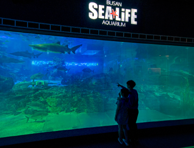 부산 가 볼만한 곳 추천 Best7