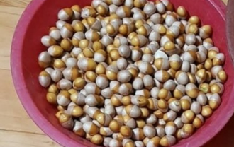 은행 쉽게 껍질까기 효능 먹는법 부작용 주의사항