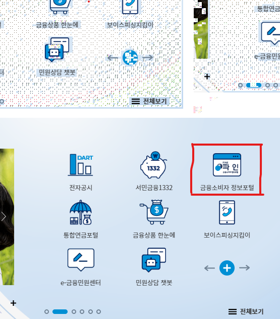 금융감독원