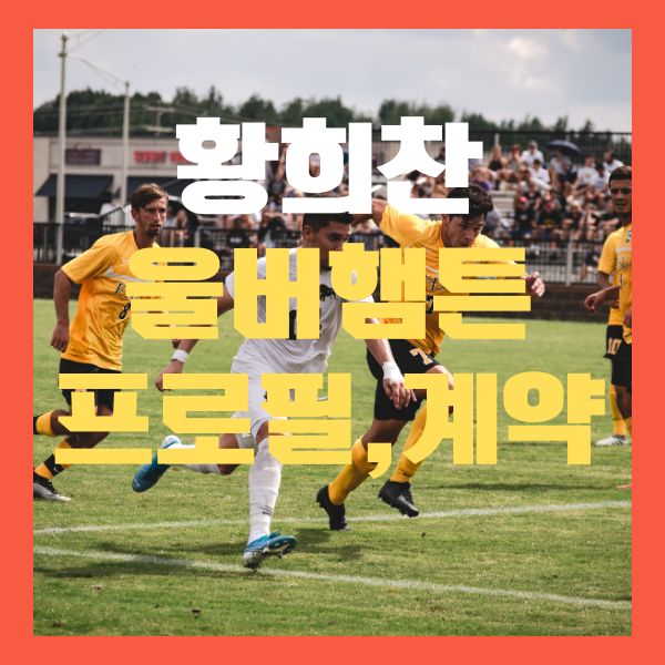 황희찬