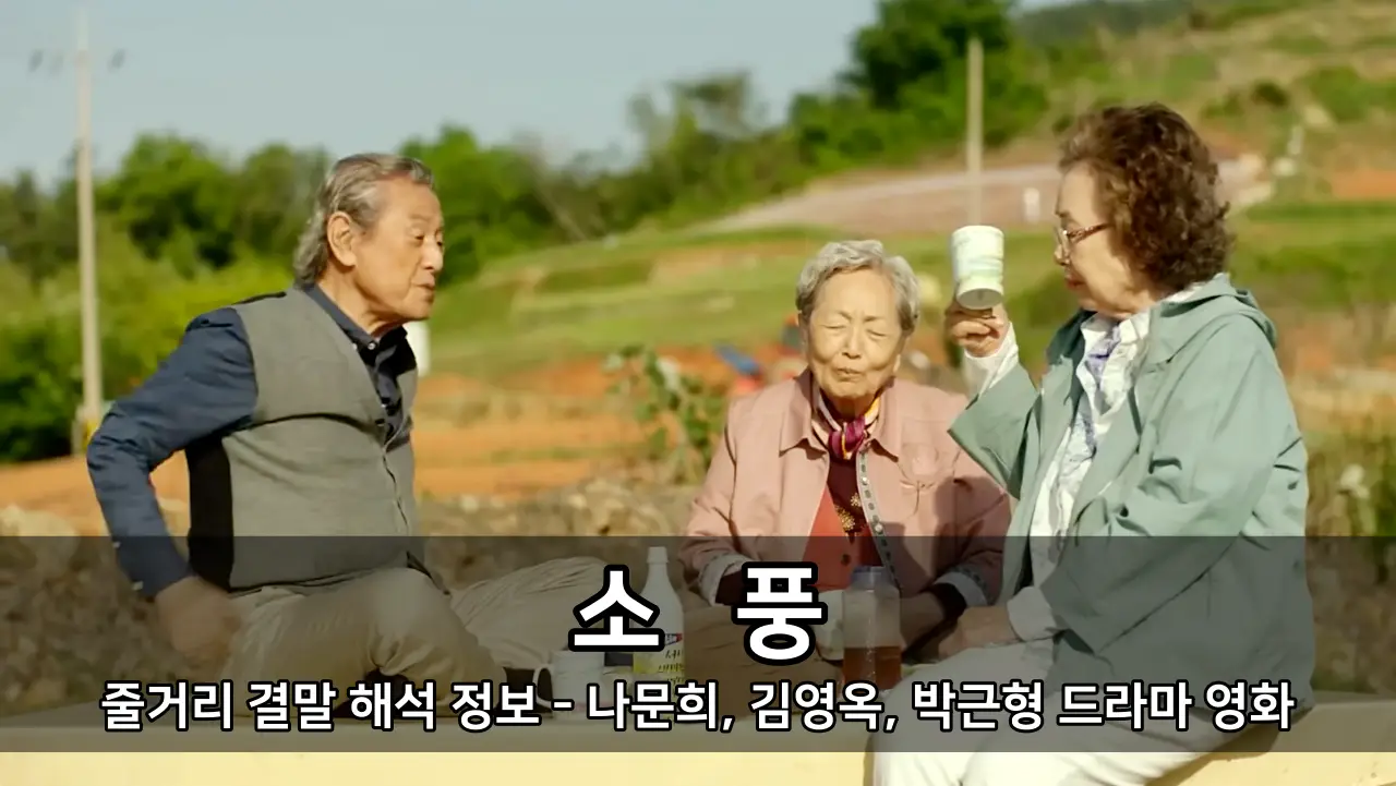 영화 소풍 줄거리 결말 해석 정보 - 나문희, 김영옥, 박근형 드라마 영화
