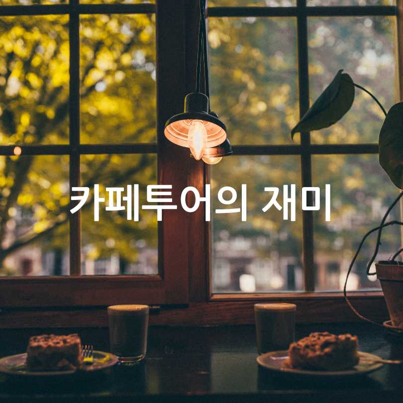 경산 신비복숭아 카페 축제 2025 일정 및 참여 카페