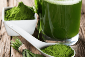 스피루리나 효과14