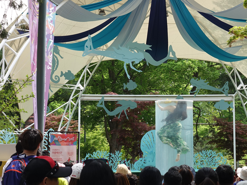 2025 남이섬세계책나라축제 기본정보&amp;#44; 가는길