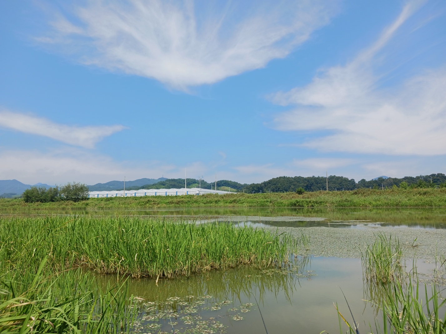 주덕보