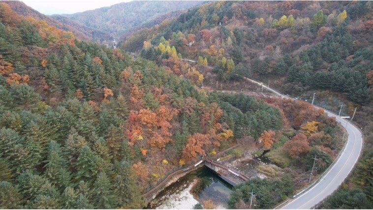 칼봉산자연휴양림여름사진1