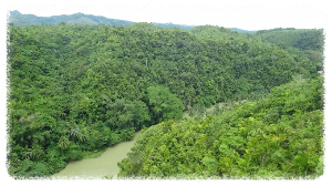 다나오 어드벤처 파크