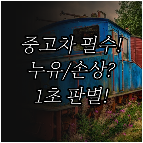 중고차 살 때 필수! 성능 기록부 주..