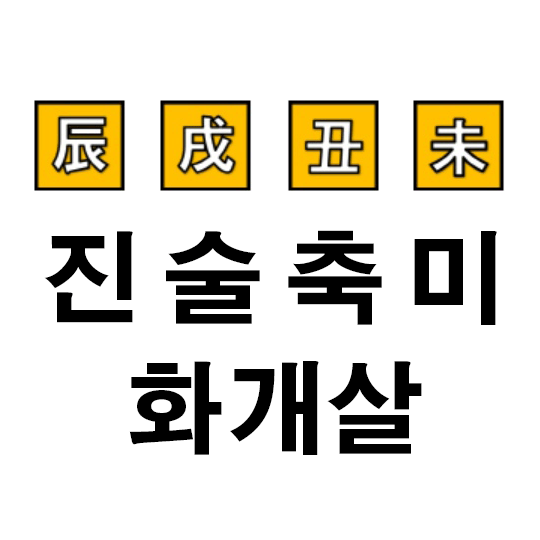 진술축미 사주 명리 화개살