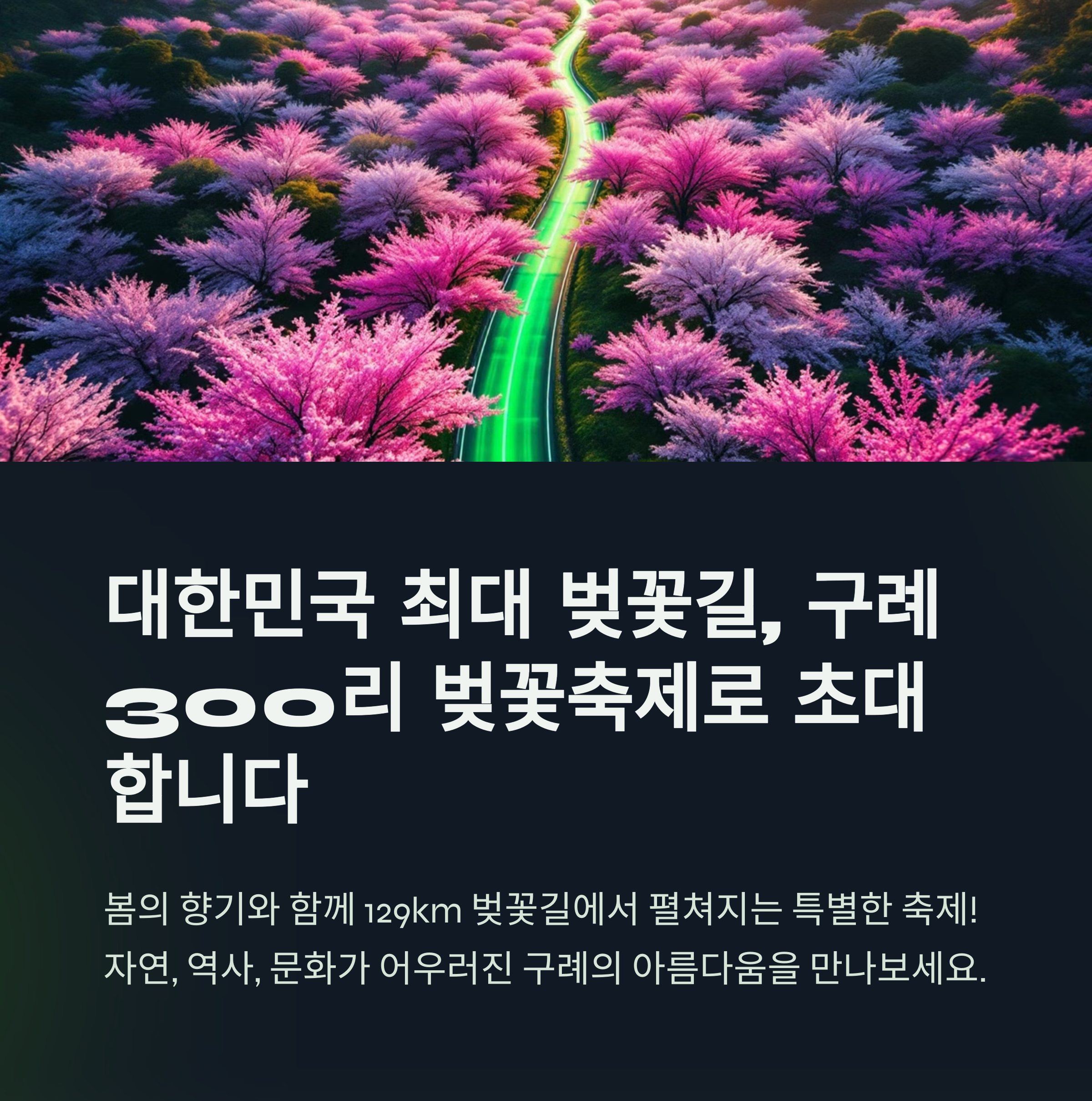구례 300리 벚꽃축제