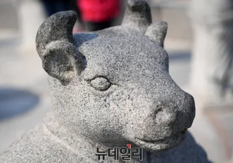 소띠 돼지띠 결혼 띠궁합으로 보는 사랑과 궁합 이야기_9