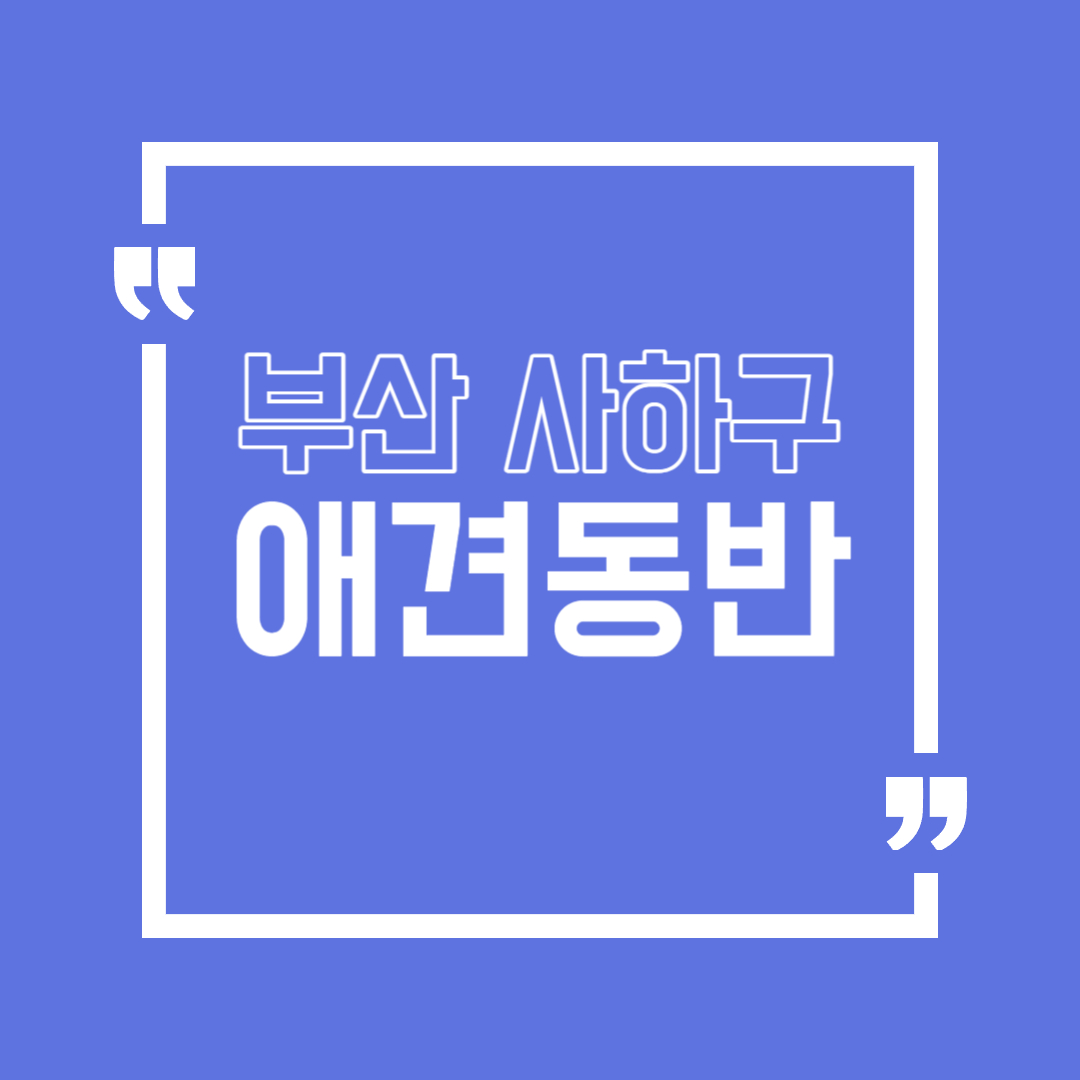 사하구 애견동반