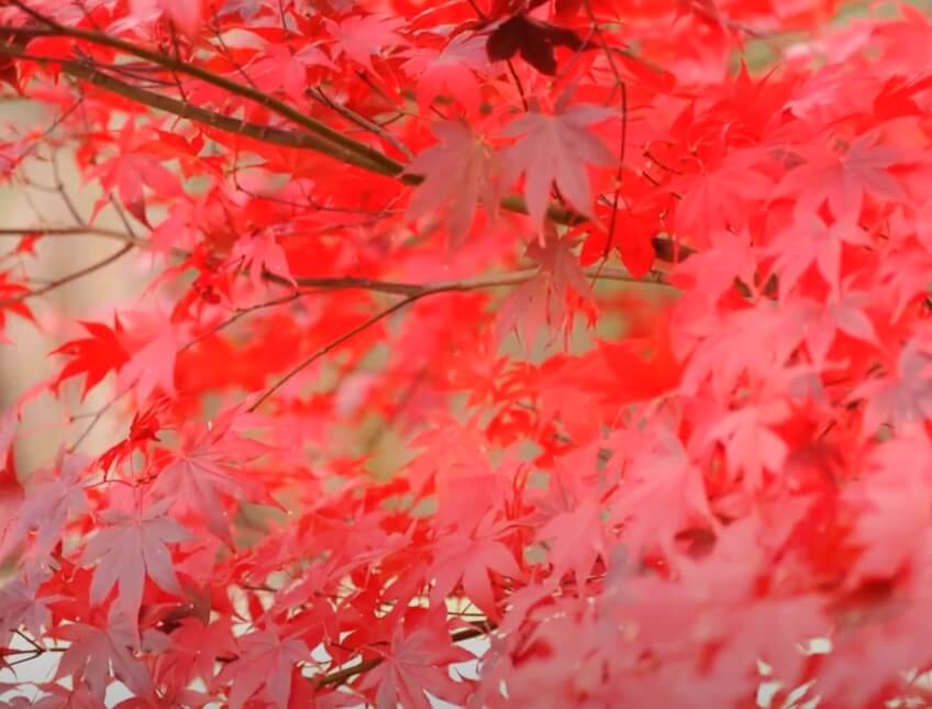 국내여행 열차할인 이벤트 포스터