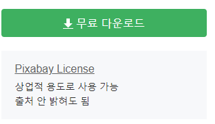 라이센스
