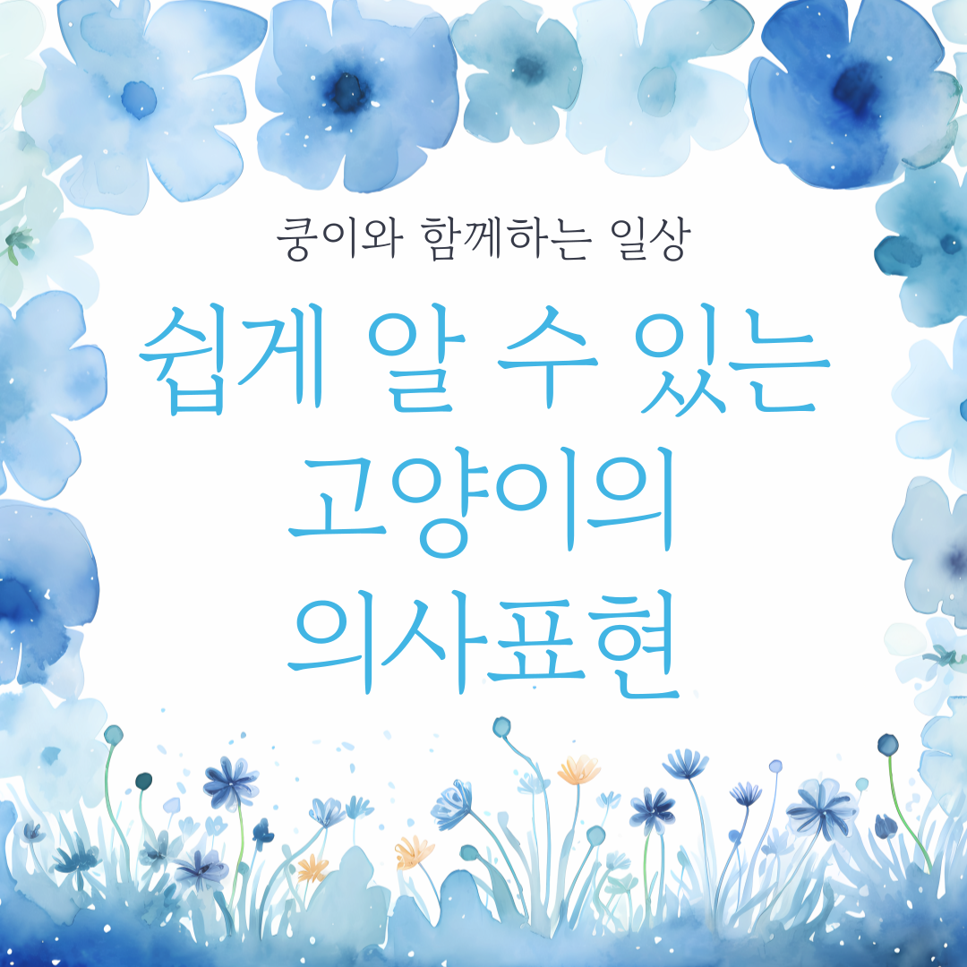 쉽게 알 수 있는 고양이의 의사표현