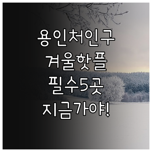 용인 처인구 겨울 가볼만한곳 주요 명..