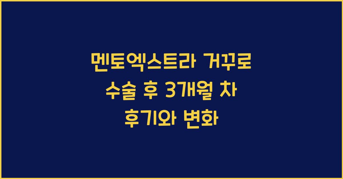 멘토엑스트라
