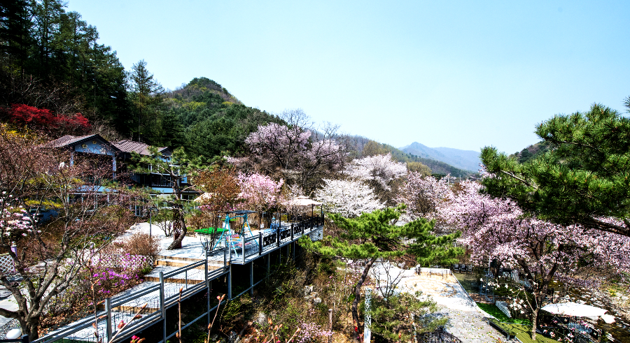 타샤의 정원 251 전경