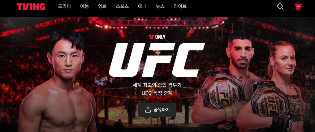 UFC 324