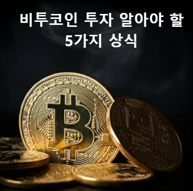 비트코인 투자 전 꼭 알아야 할 5가지 기본 상식