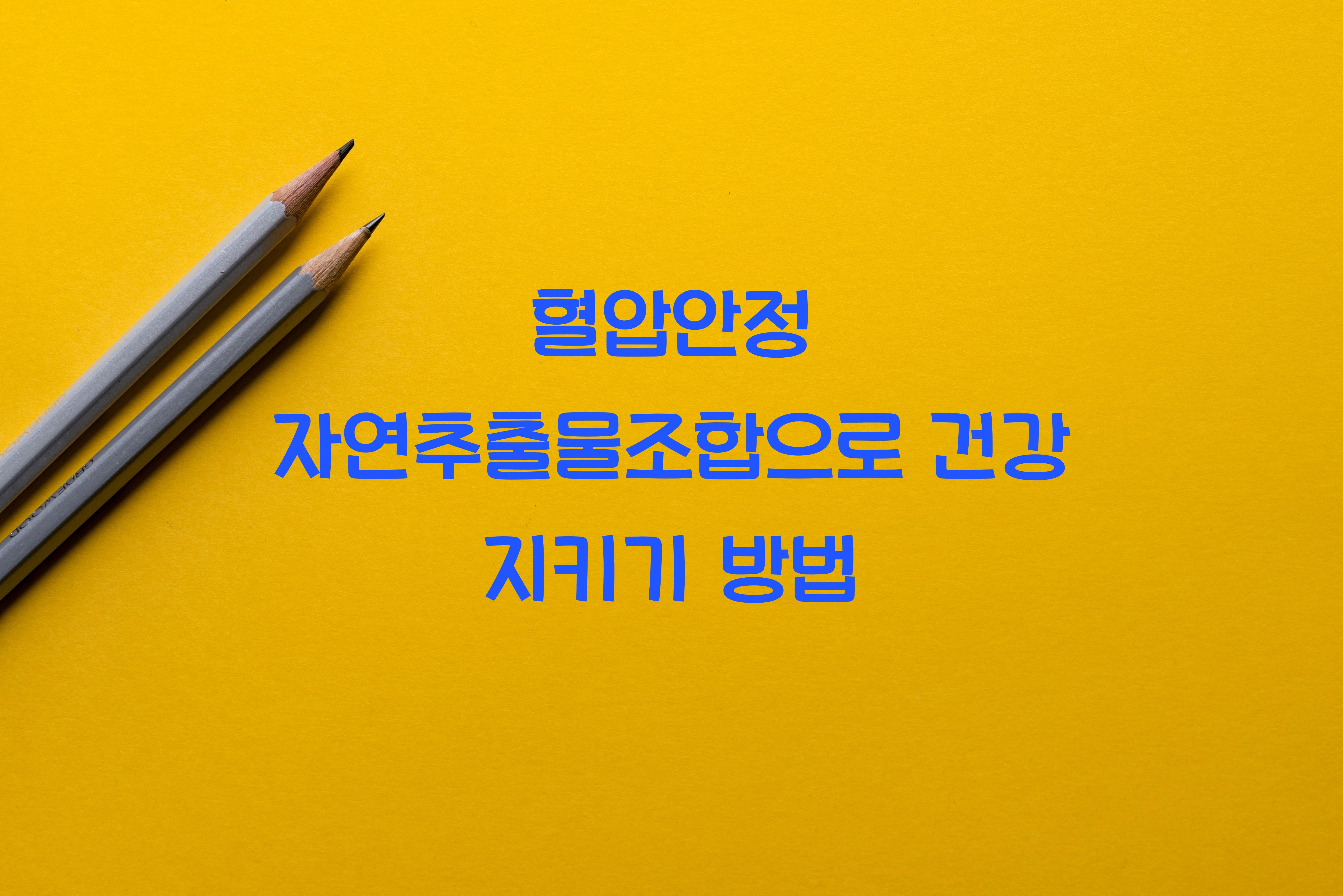 혈압안정 자연추출물조합