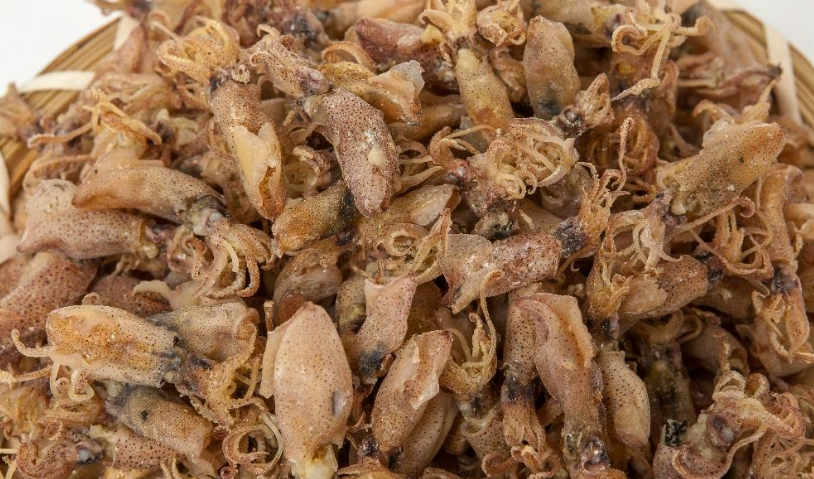 꼴뚜기효능 갑오징어효능 장항항 수산물 꼴갑축제