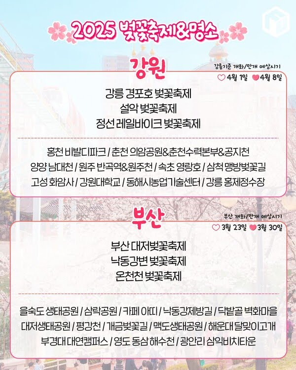 2025년 봄 전국 벚꽃 명소 추천