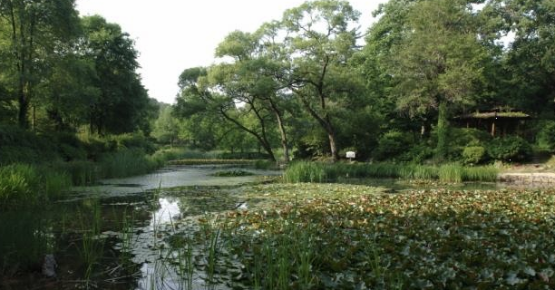 국립수목원(산림청 국립수목원) 이미지