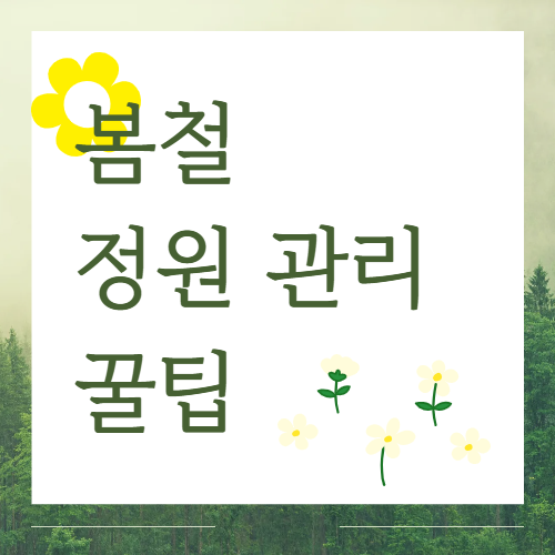 봄철 정원 관리 꿀팁