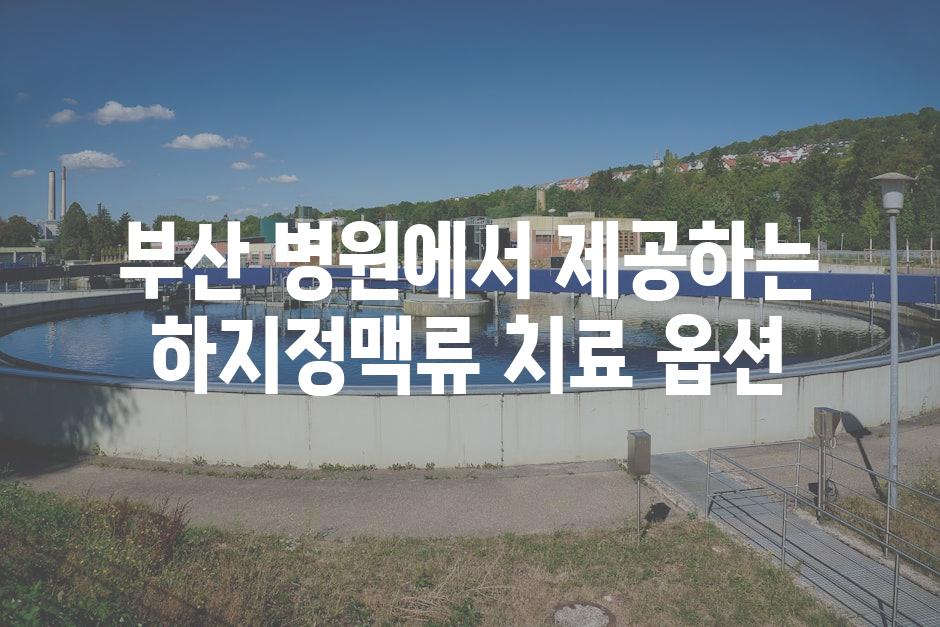 부산 병원에서 제공하는 하지정맥류 치료 옵션